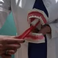 limpieza dental